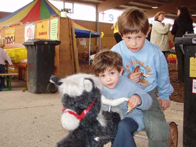 Fahren mit Pferdestärke